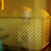 ���Ի����䡿�����쵽�ˣ�֥��ɺã�---17Сʱ����֥����˾