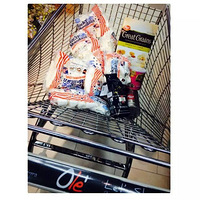 �Լ����֣�������ʳ���Լ�����������