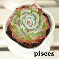 ޾µ