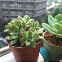 µ꣬Ǽ