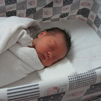 54ű ڲμӰ Baby̨  ܵ