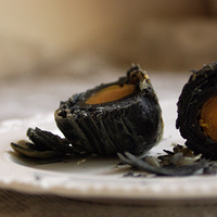 ���Ի����䡿�κڣ���Ҫ������---��̿��֥�鵰����