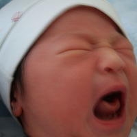 1226ű ڲμӰ Baby̨