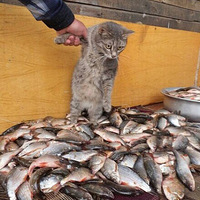 �ҾͿ������Ҳ��������ƿ�����һ��