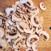 �����������������ˡ�����Ģ��ɳ��+����