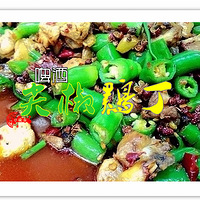 ơ�Ƽ⽷����