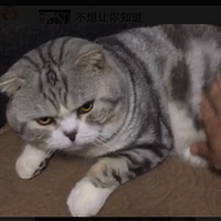 ɹè~~ö