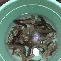 �����Լ��ڼҶ�������Ϻ��