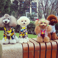 ----------CC������С���ع�-------------