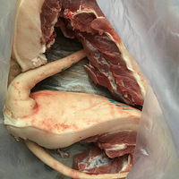 �����Ҫ����С��������