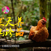 ѡ����ɫ����ʳ�Ĳ�������������ζ