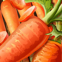 ���Ӱ½��������������---����Ϻ��