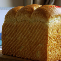 ���Ի����䡿����ϰ---һ�η��͵�������˾