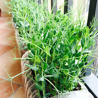 �ֵúܵ�˽���ˡ�
������Щĥ�˵�С������