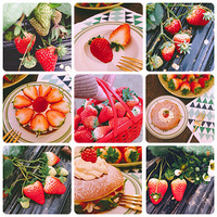 ��ݮ��������һ�����ԳԳԡ�