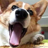ôɰĿ»˴˳ˣ