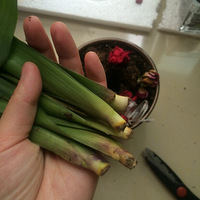 ��������ƭ�ӣ�