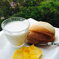 ��¼��Щ��������������