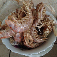 �����Ϲ����Ĳ����ʺ�θ��