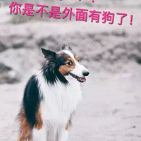 ¥ʶǼСǿ