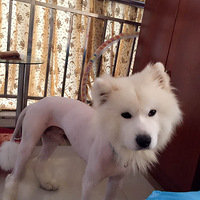 һ�����Ħ�ܵ���Ů����