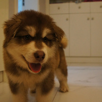 �ҽб�����������1���ˡ�