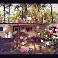 diy ɫϵ ɭַ happy one birthday party