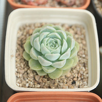 ��������һ�������������գ��̲�סҲ����һ��