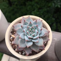 ʱ���������Խ��Խ����