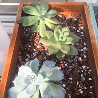 �������������ⲡ��ķ���