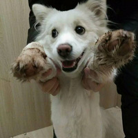 �Ҽ�lucky����Ůһ������