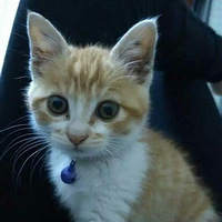 ������(èè)������!