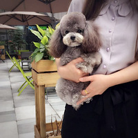 �����ӣ����ú�����