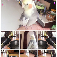 ��������