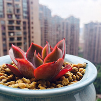 ��һ����ȥˣ ������̨������