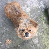 �п��Ը����ë����һ���ҵ�ô����ʱ���������Ҽ�Ҳ��