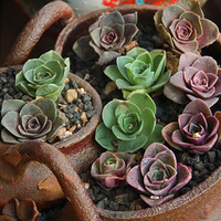 ����֮ǰ����ɫ��