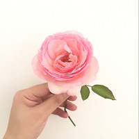 һ���Դ����չ��ܵĻ�~��ɳ��ʯ����̫���������ж�~