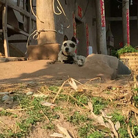 ����PS��һ���������ĵ��������Ӧ�ý�ɶ����