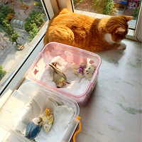 ��������С�����չ�ԡ