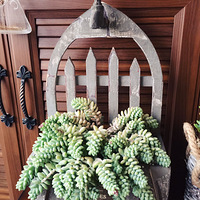 ��������ǰ��������