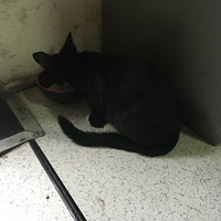 Сè�������������ҵ�������