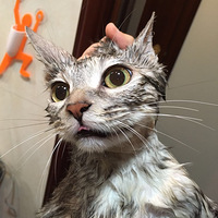 �Ҽ���һϴ��ʹ���~��������