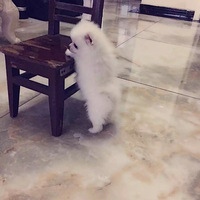 2�´��С���Ͳ�������