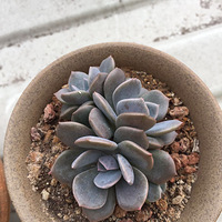 ̳����Ķ�����������