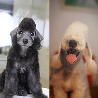 С�ڹ��������ɱ䣬����ٹ����ɳ��ǣ������������ȼ��ܣ�