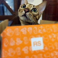 ��¼�������ú���������