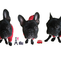 �����ȵġ�������ţȮ��˧�����衿���ճ�����ô���㲻��������