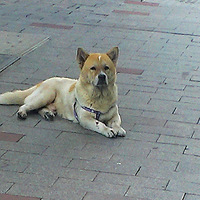 ת����˭�����¹����ŵ��ž�����ֻѰ���˵Ĺ���