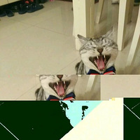 èè���ĳ���